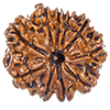 10 Mukhi